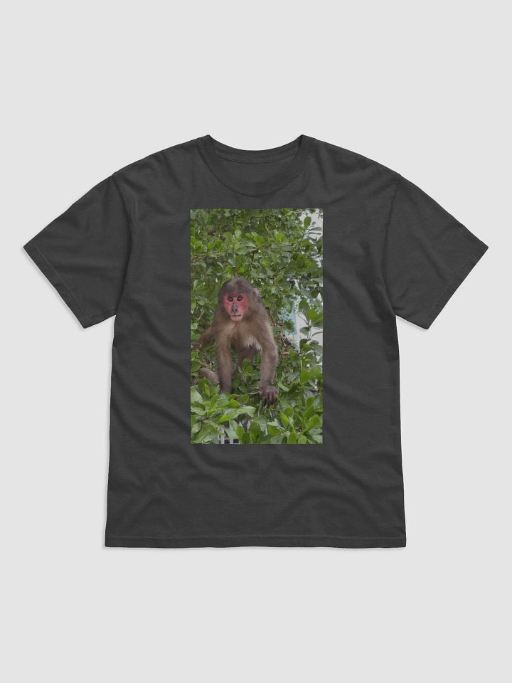 Monkey Coca product image (1)