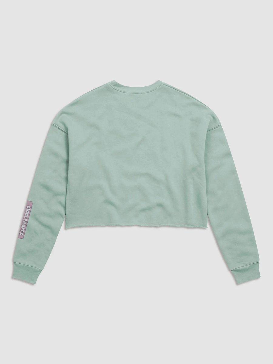 Giggly Crop Pullover product image (4)