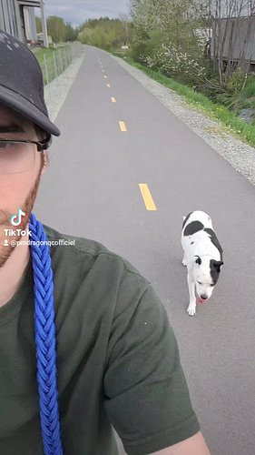 Petit marche après la grosse chaleur 🌞🐕🚶‍♂️