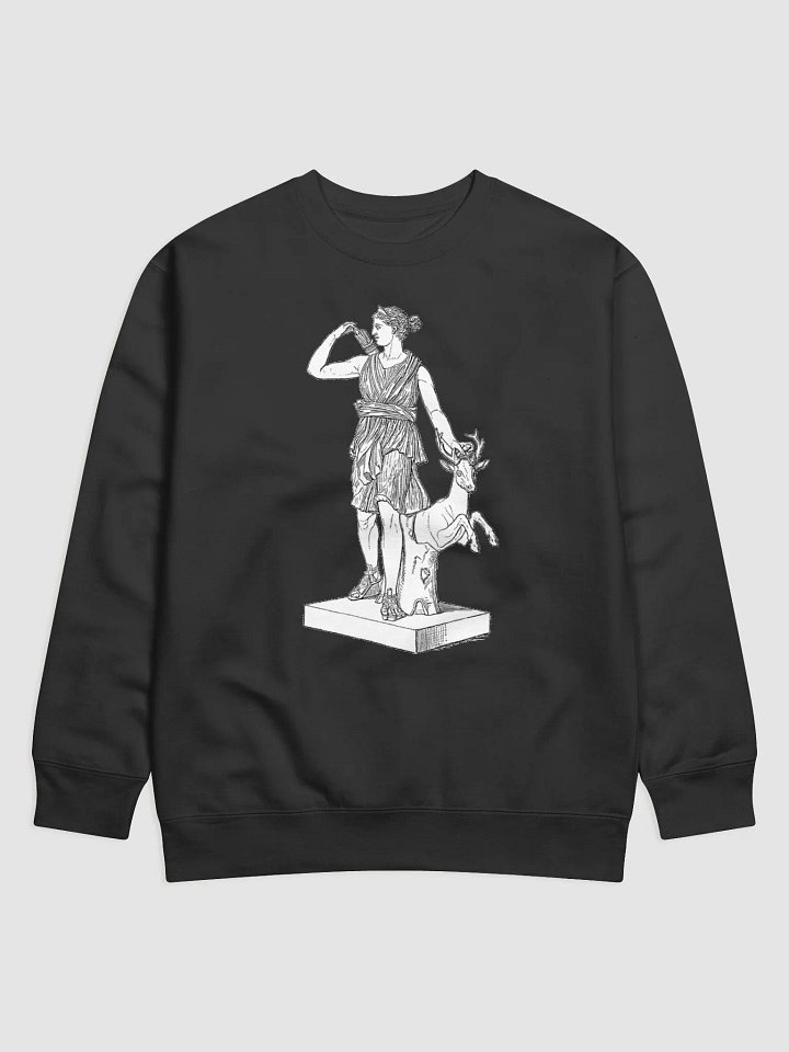 The Stag Hunt product image (3)