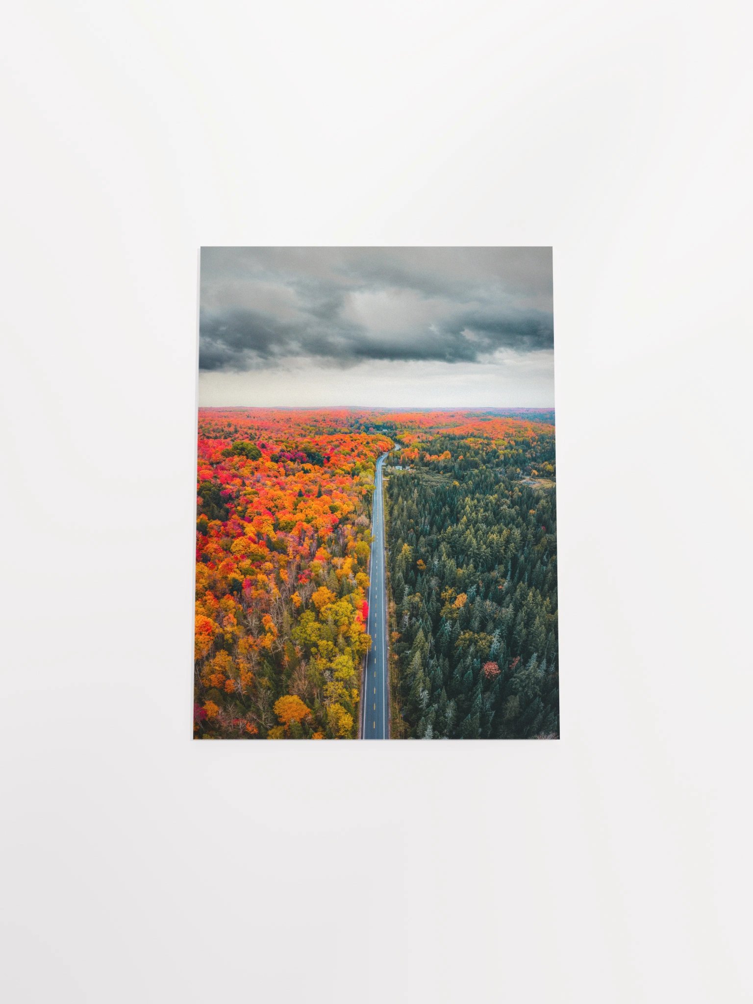 Two Sides of Fall - Photo Print product image (27)