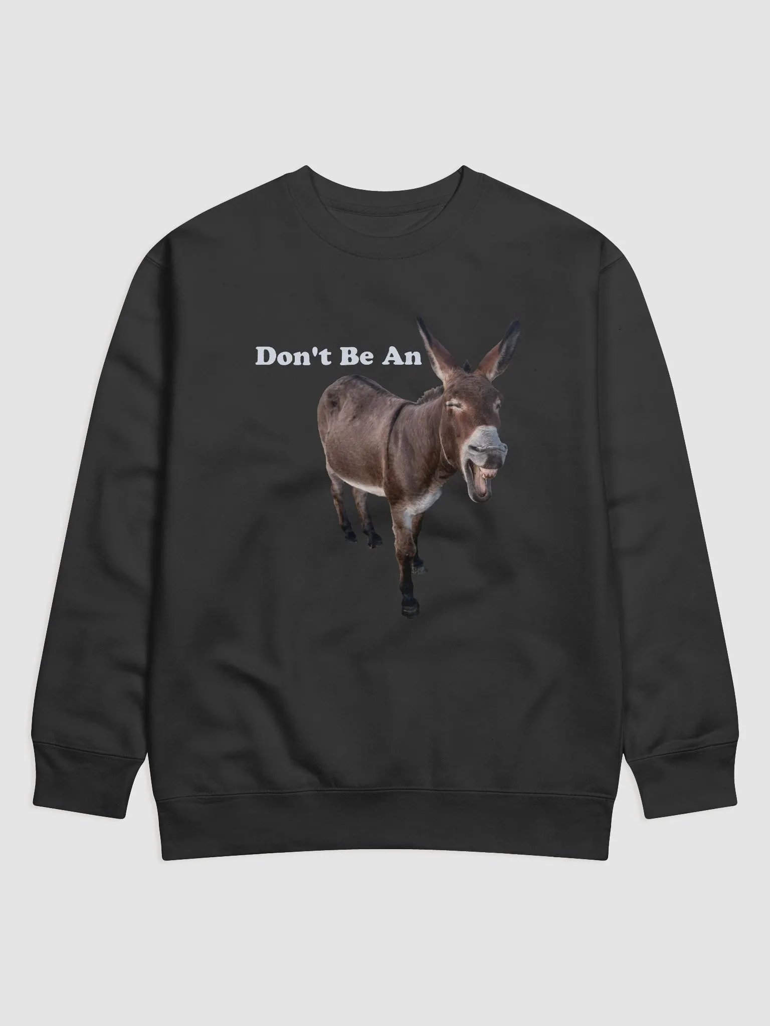 Don't Be An Ass (Sweater) product image (1)