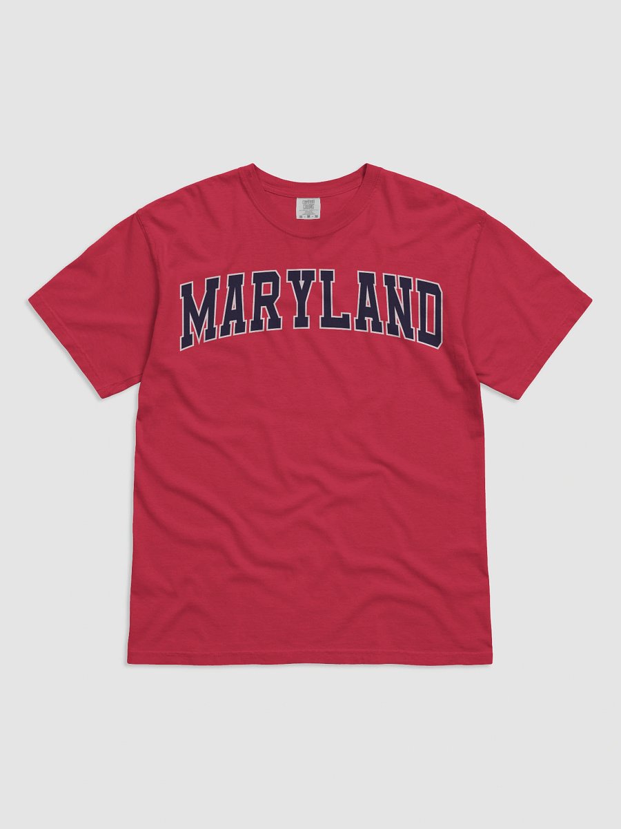 Maryland Vintage Stylish Unisex Garment-Dyed T-shirt product image (2)