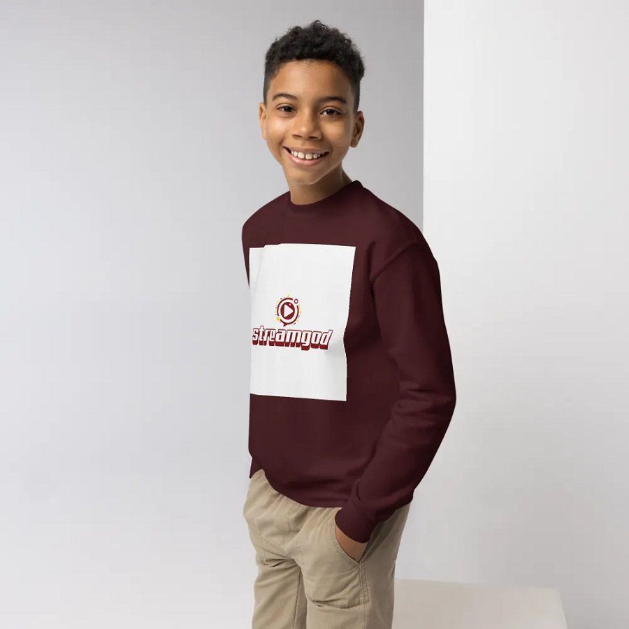 maroon youth STREAMGOD sweater product image (3)