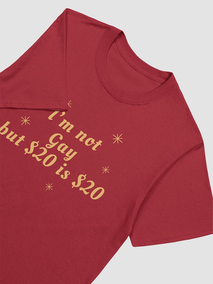 I'm Not Gay But $20 is $20 Unisex T-Shirt V14 product image (2)