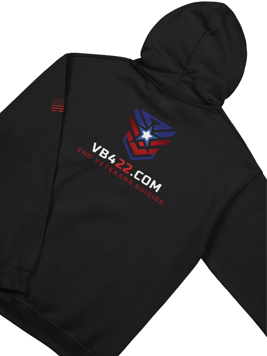 VB422 HOODIE product image (4)