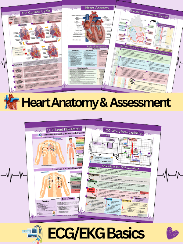 ECG/EKG Interpretation Study Guide & Workbook by Nurse Sarah (Digital) product image (3)