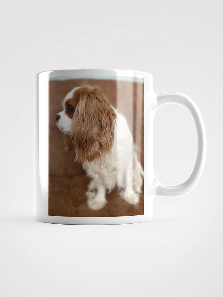 'Super Model' (Robin) Portrait Coffee Mug product image (1)