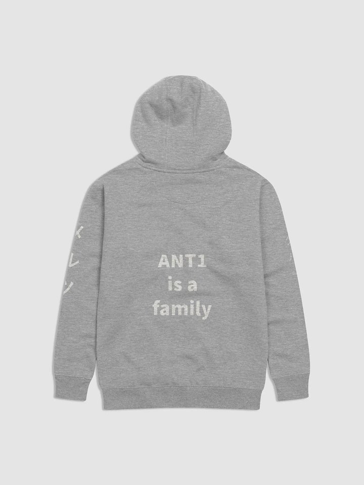 grey ANT1 hoodie product image (2)