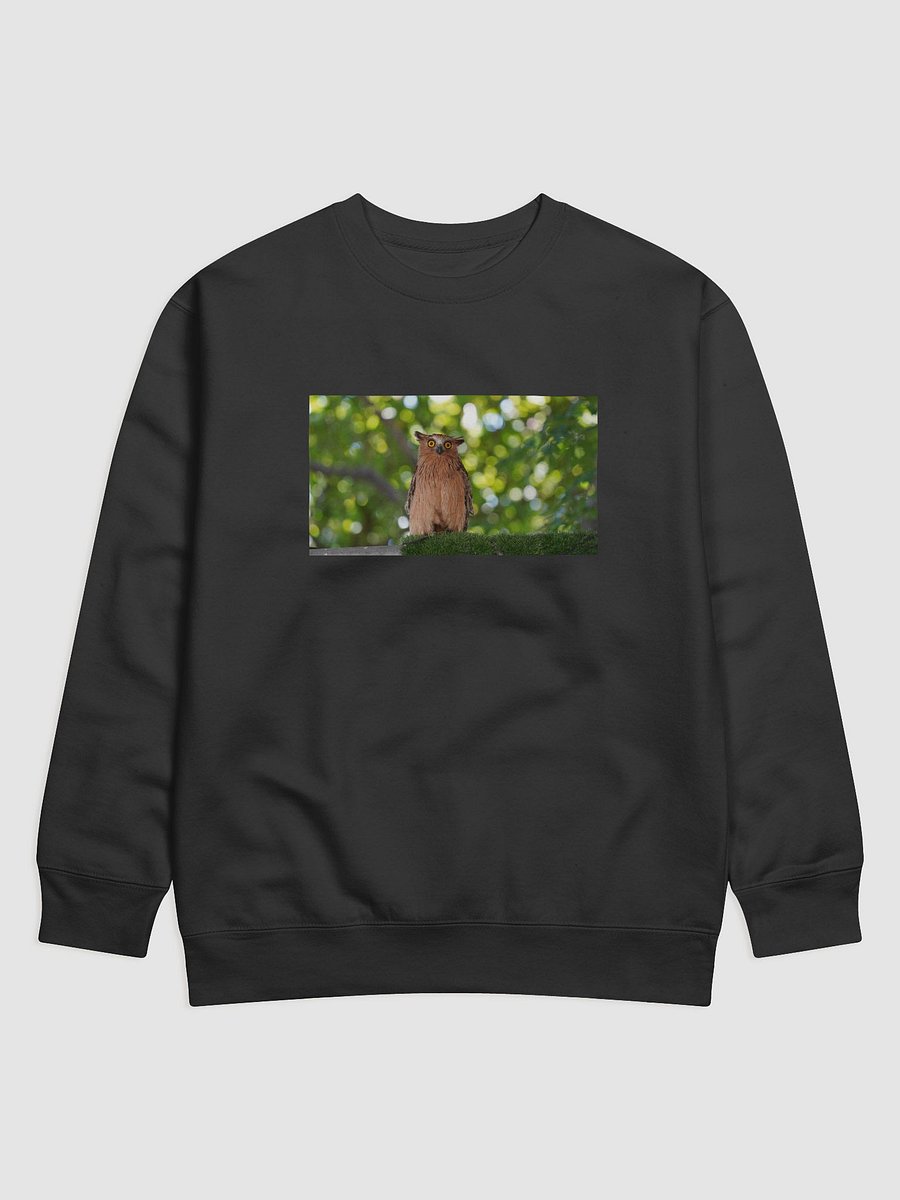 Mystic Owl Premium Sweatshirt product image (1)