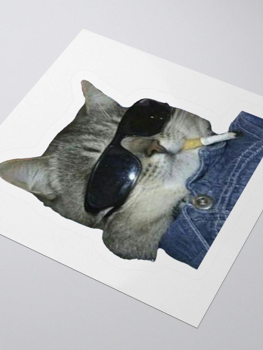 Cool Cat Sticker product image (9)