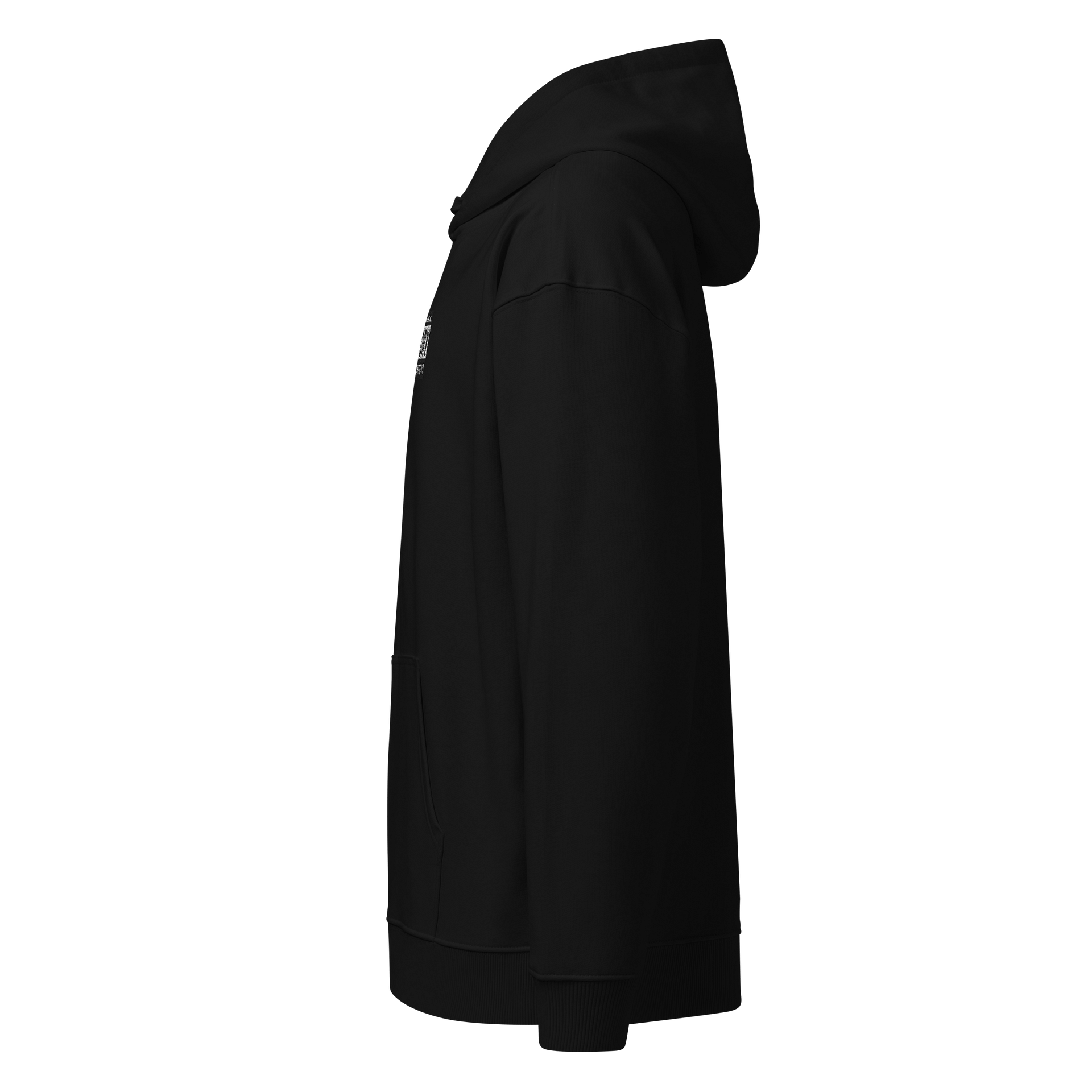 SPIRITUAL ADVISORY: EUPHORIC CONTENT EMBROIDERED HOODIE product image (8)