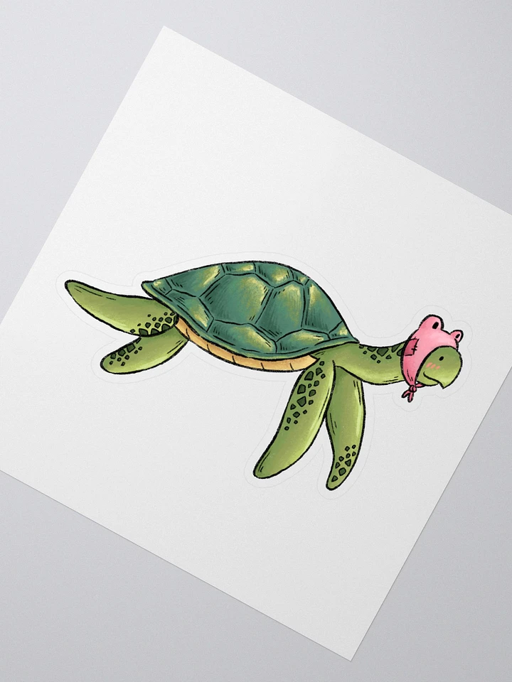 sandy the sea turtle product image (2)