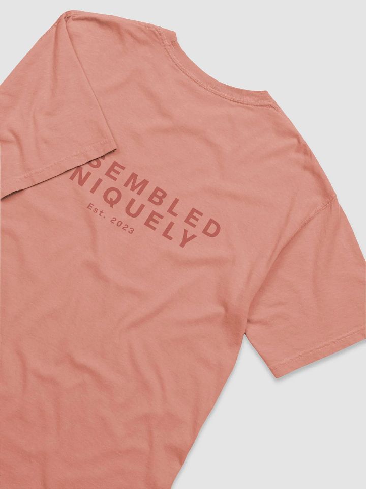 The Empire Tee (Terracotta) product image (2)