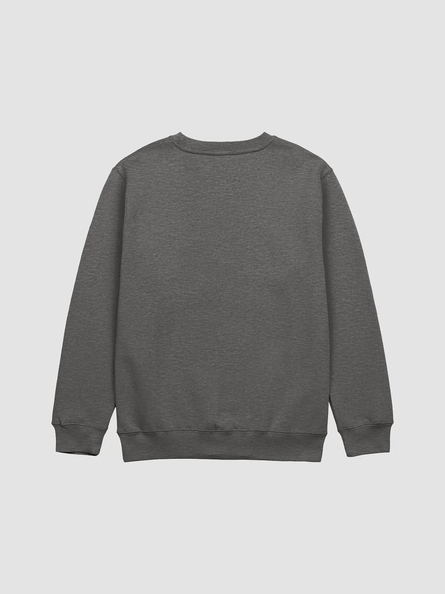 BRADMAN BEYOND Sweatshirt product image (8)
