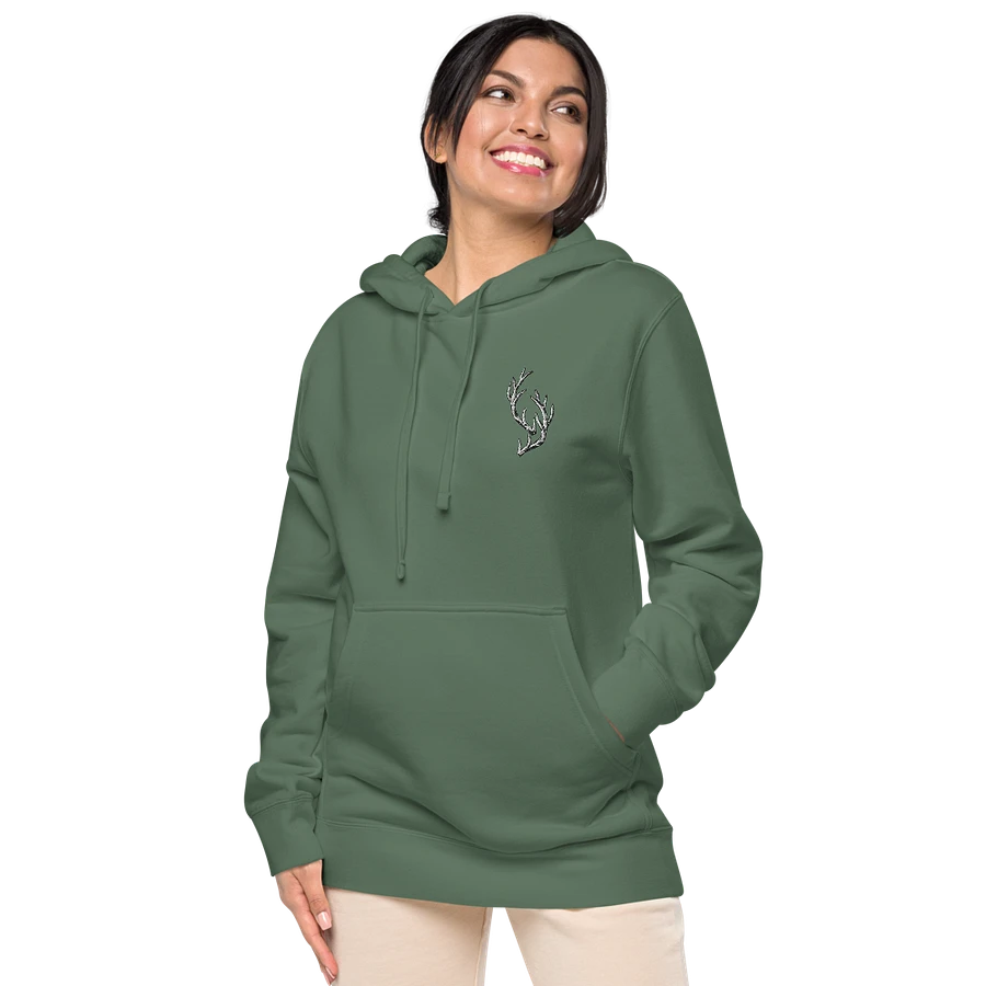 Deer Embroidery Hoodie product image (43)