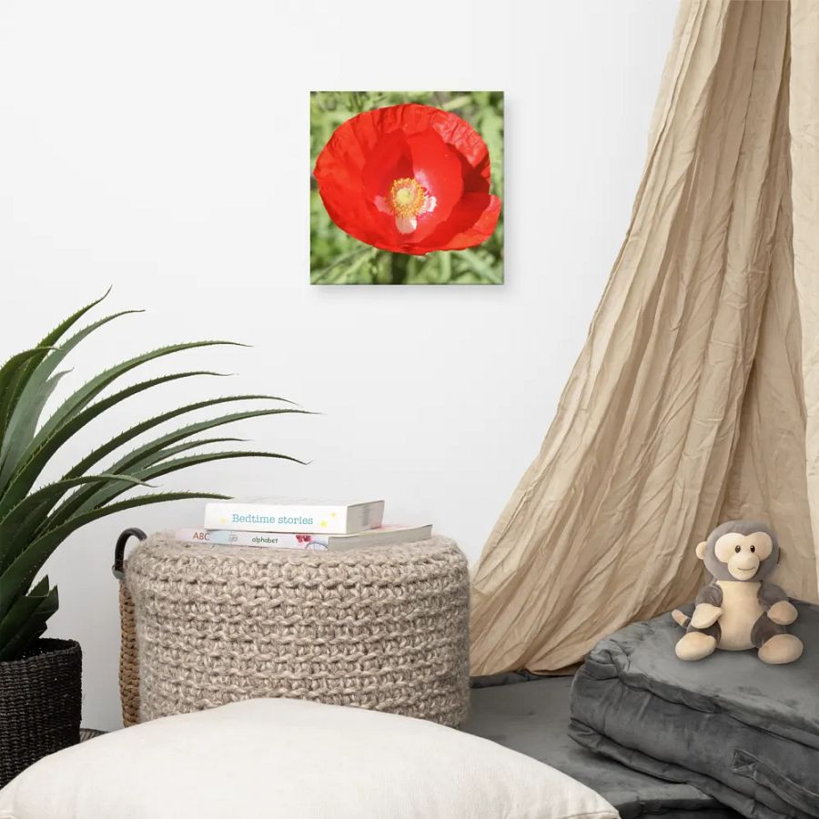 Red Poppy product image (9)