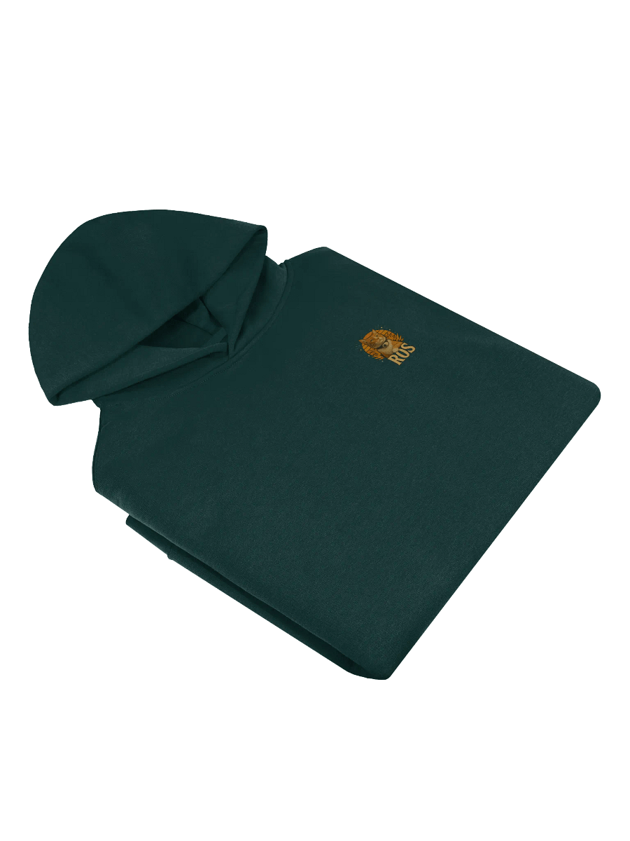 Premium Hoodie product image (4)