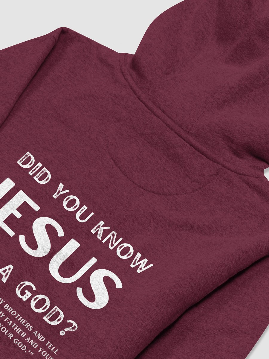 Jesus Had a God Unisex Premium Regular Fit Hoodie product image (37)