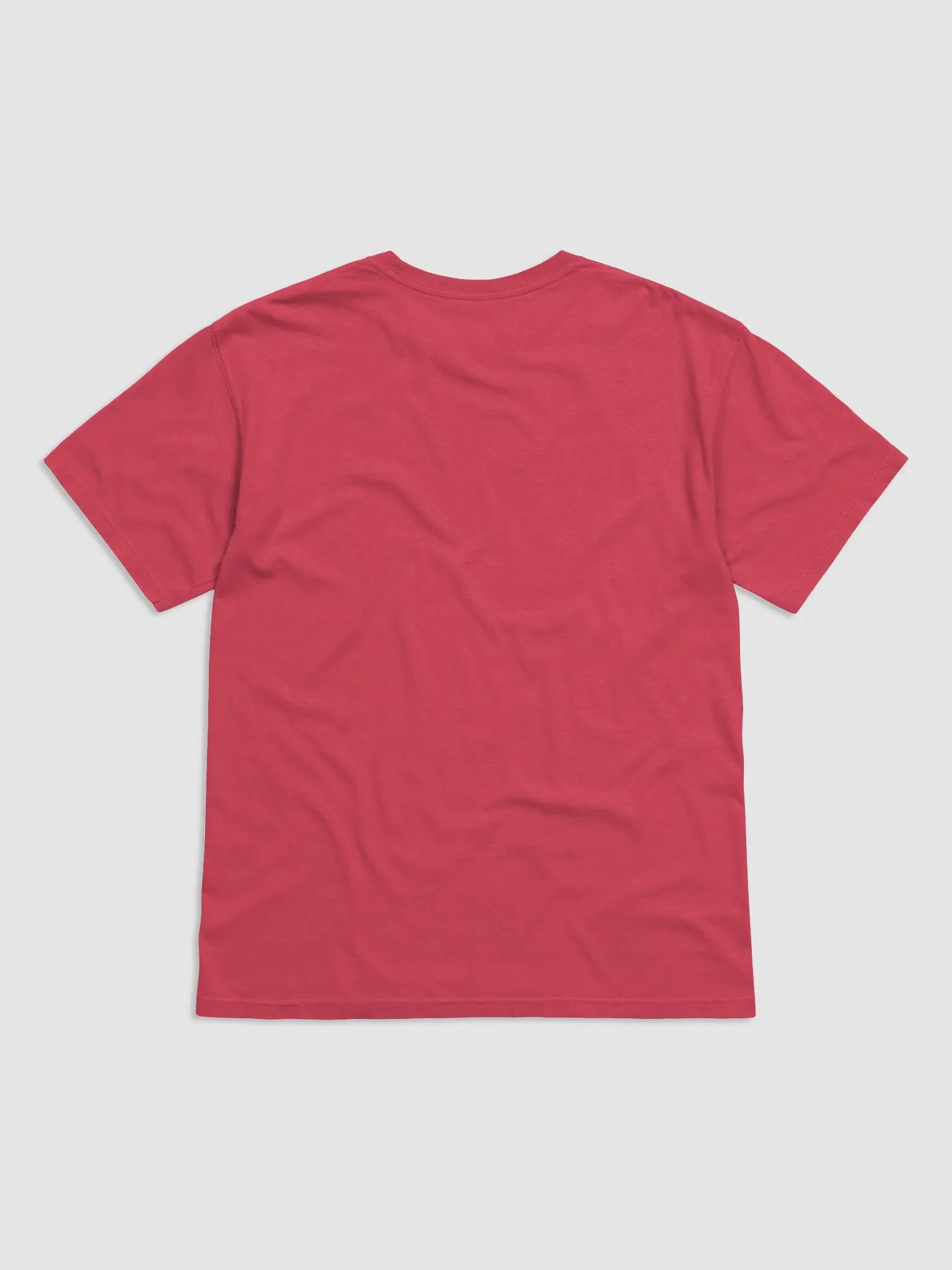 Brilliantly colored bird, Ultra-Soft Comfort: Garment-Dyed Cotton Tee product image (2)