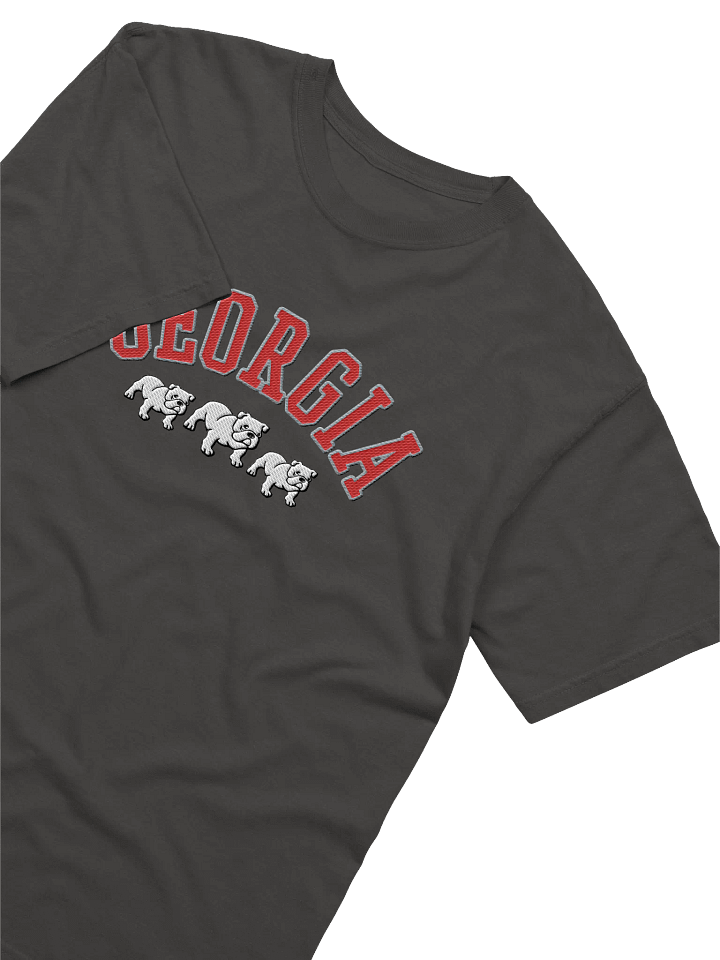 Embroidered Georgia T-Shirt product image (2)