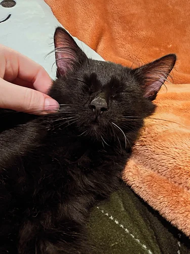 Happy Halloween from my werewolf to yours.