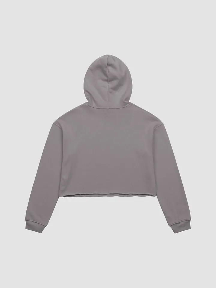 Fall Dino Crop Hoodie product image (11)
