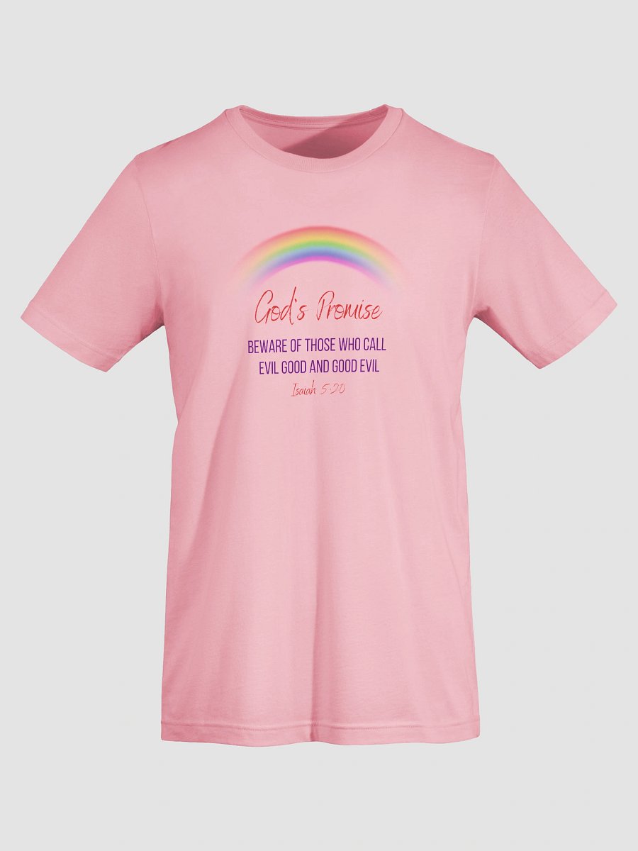 God's Promise Soft Lightweight T-Shirt product image (7)