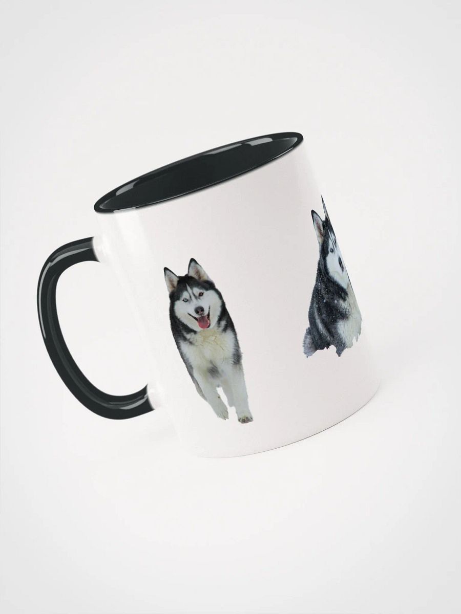 Majestic Siberian Husky with two different colored eyes product image (2)