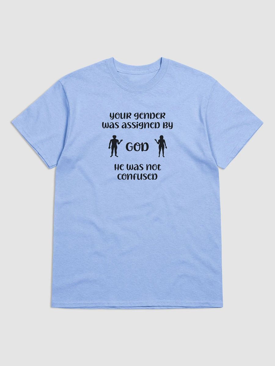 Your Gender Was Assigned by GOD. Midweight Streetwear Vibes Tee product image (1)
