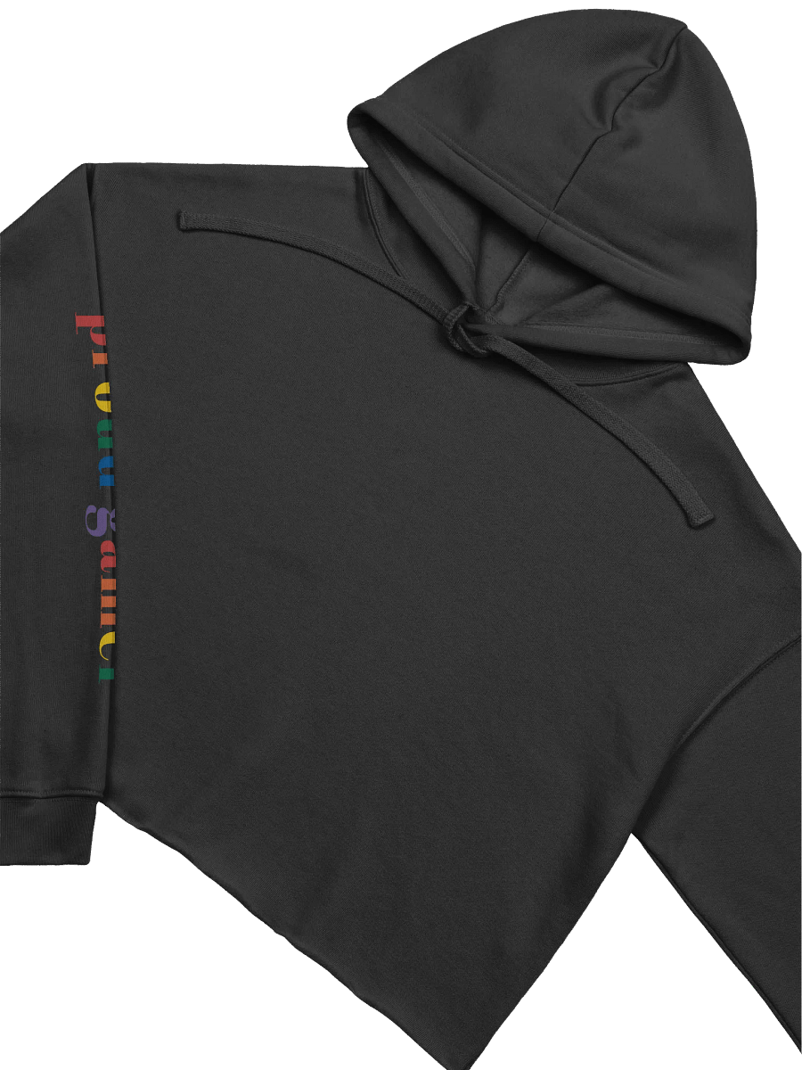 Pride Crop Hoodie product image (5)