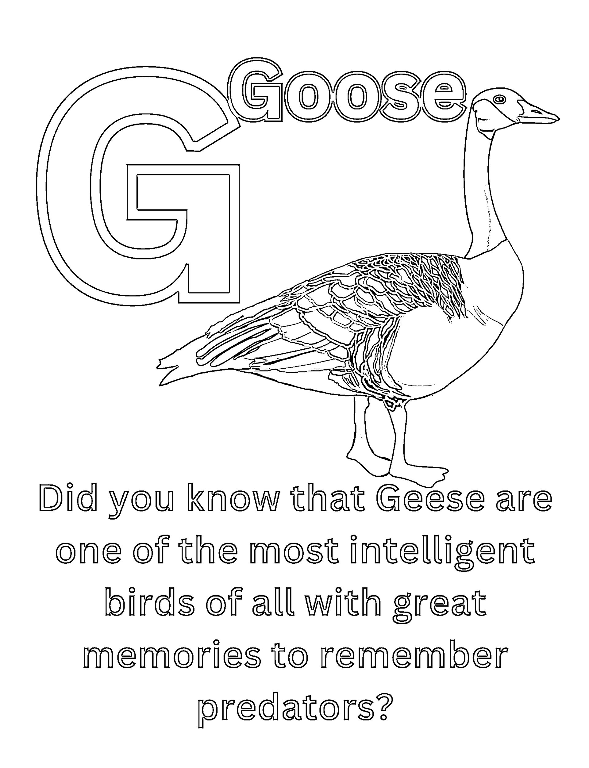 Cool Animal Facts for Kids ABCs Coloring Book product image (8)