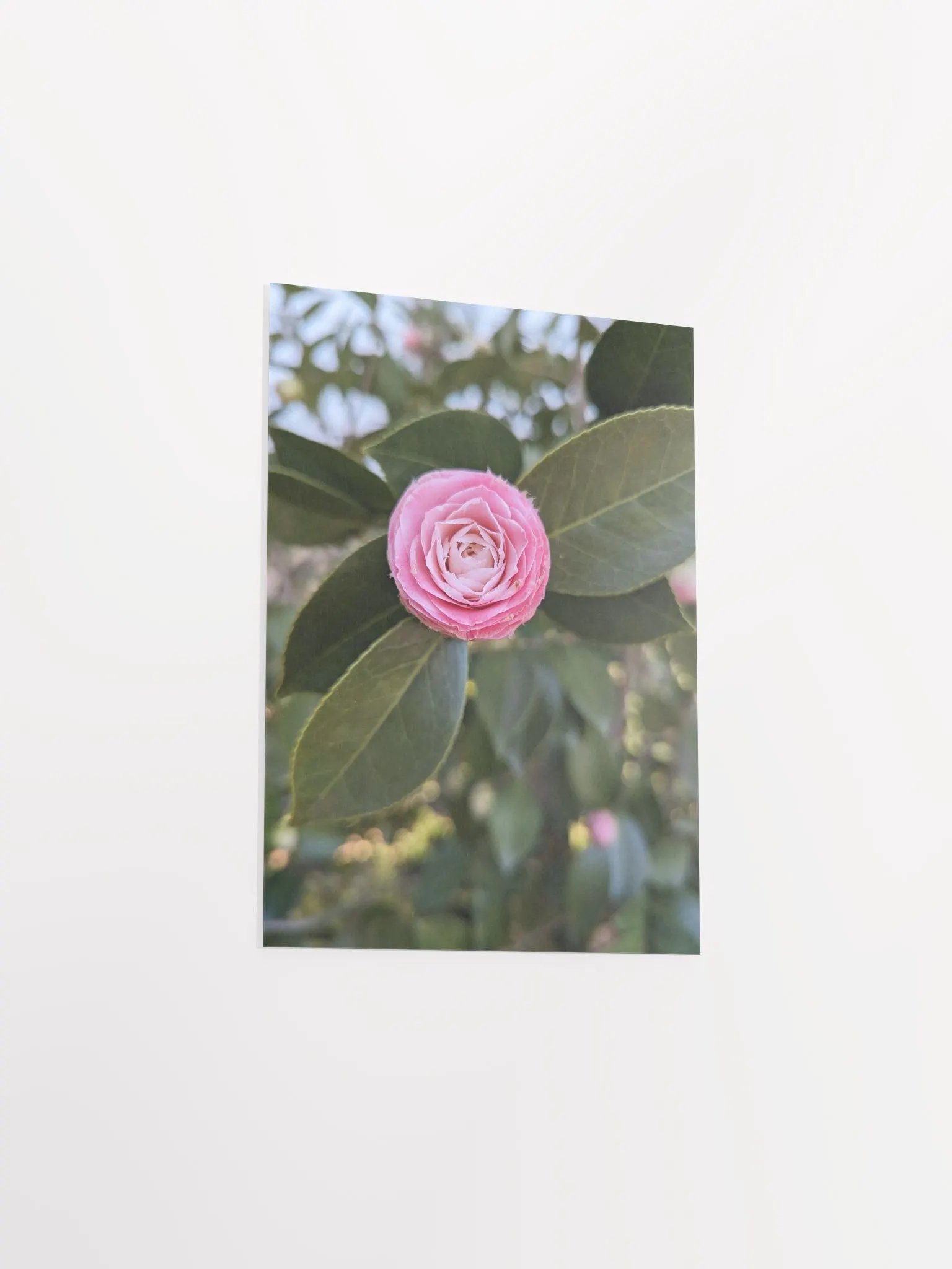 Blooming Beauty Matte Poster product image (18)