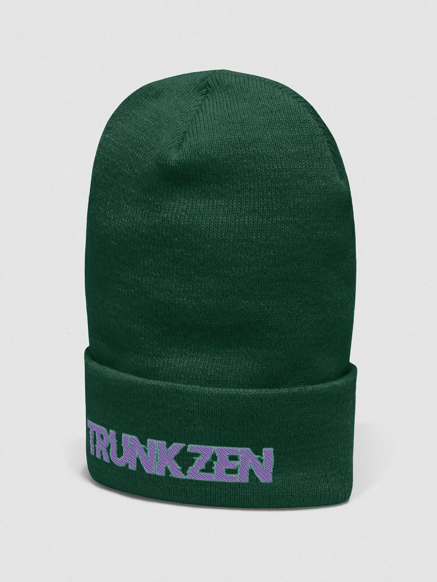 TrunkZen Beanie2 product image (17)