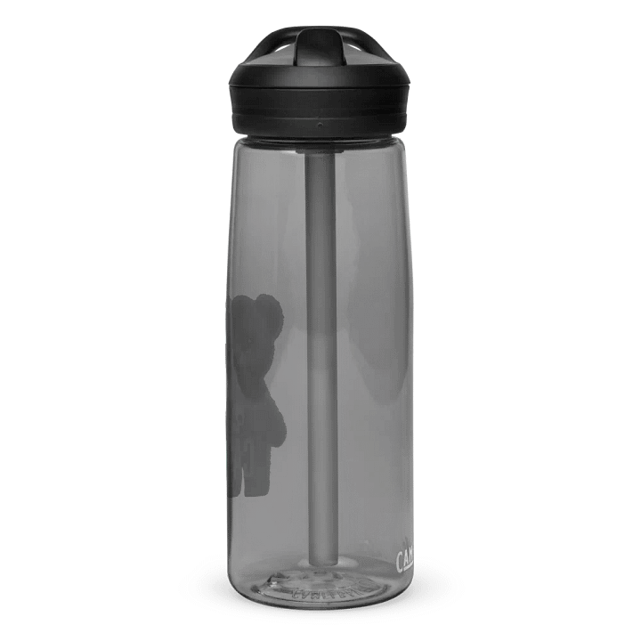 CARE-BEAR Water Bottle product image (2)
