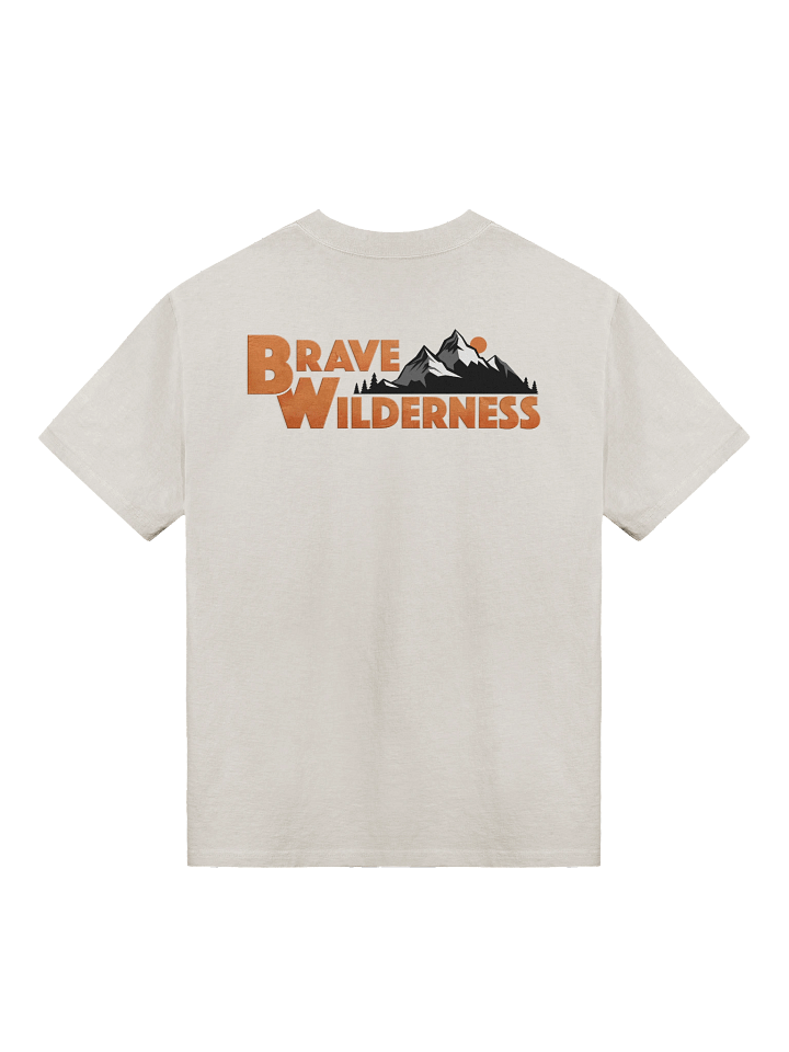 BW Classic Oversized Tee product image (2)