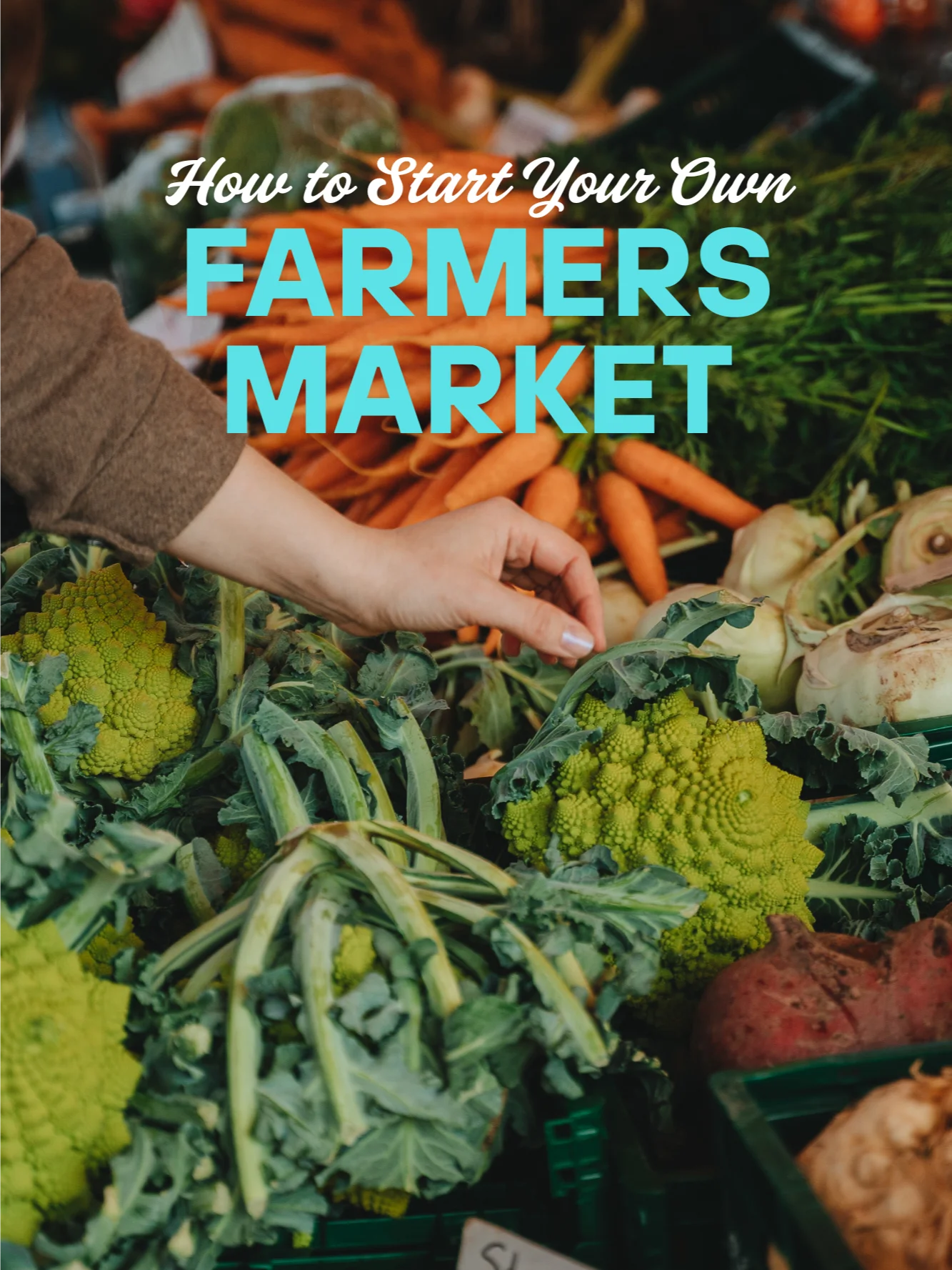 How to Start Your Own Farmers Market product image (1)