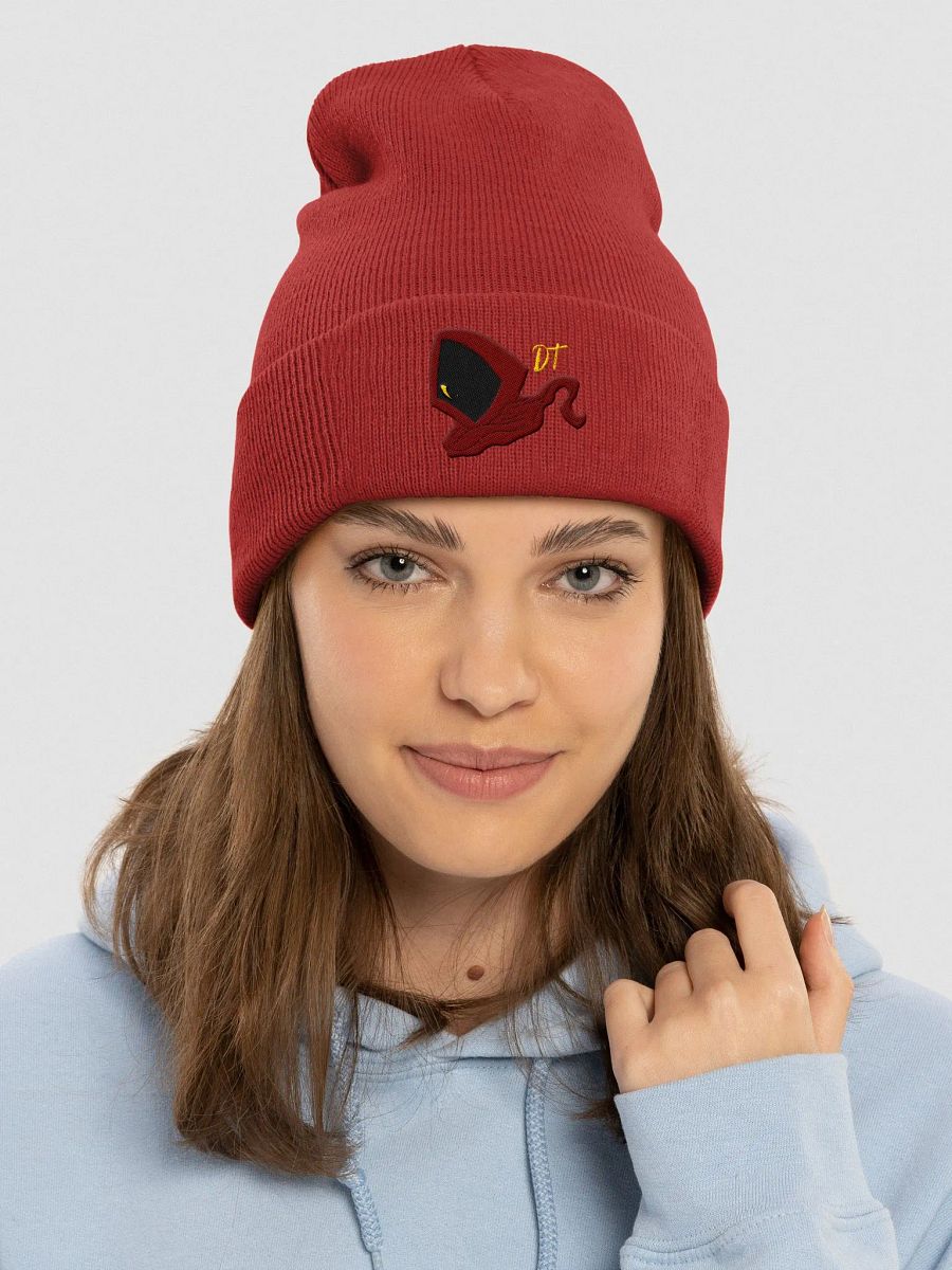 DT's Charm Beanie product image (3)
