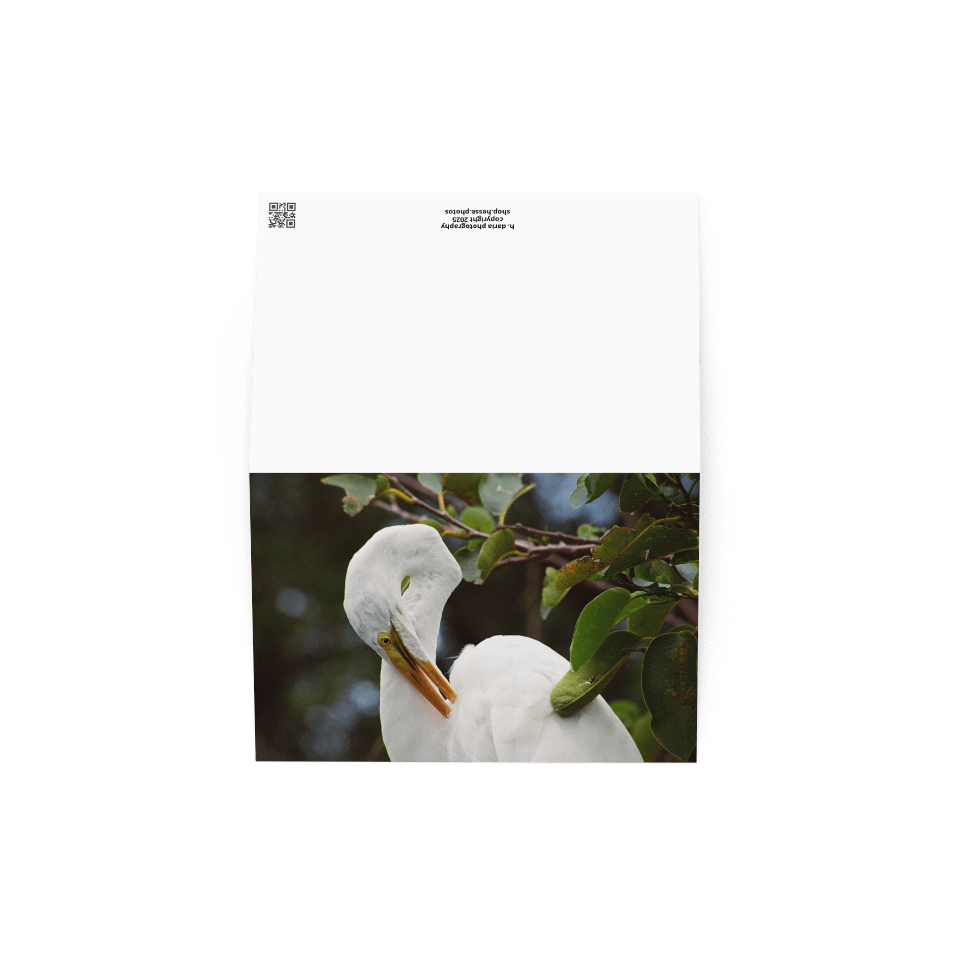 Egret "Postcard" product image (4)
