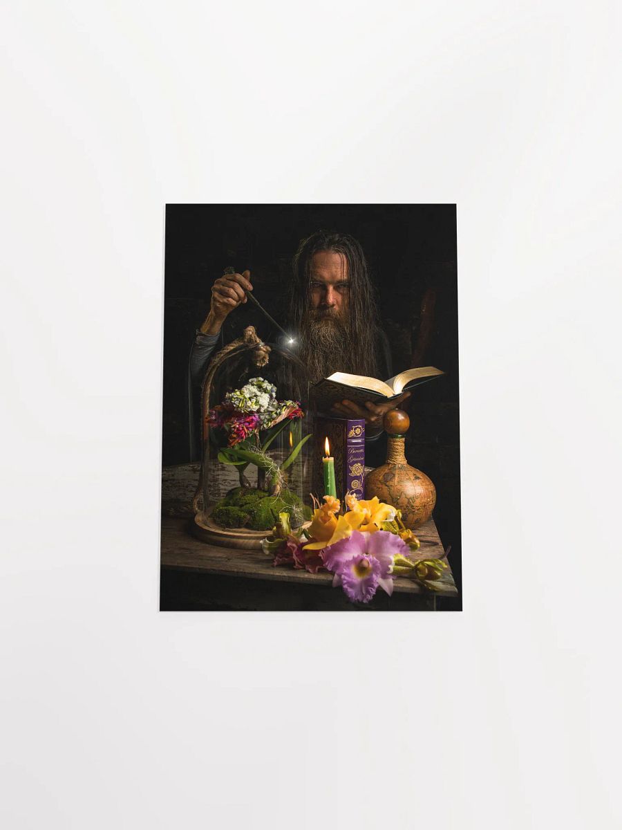 Merlin product image (4)