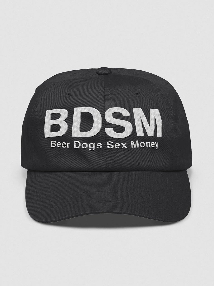 Beer Dogs Sex Money Dad Hat For Guys With A Head product image (1)