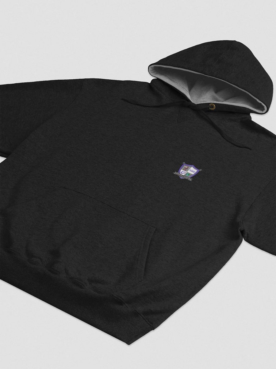 The Streaming Collective - Champion Cotton Max Hoodie product image (3)