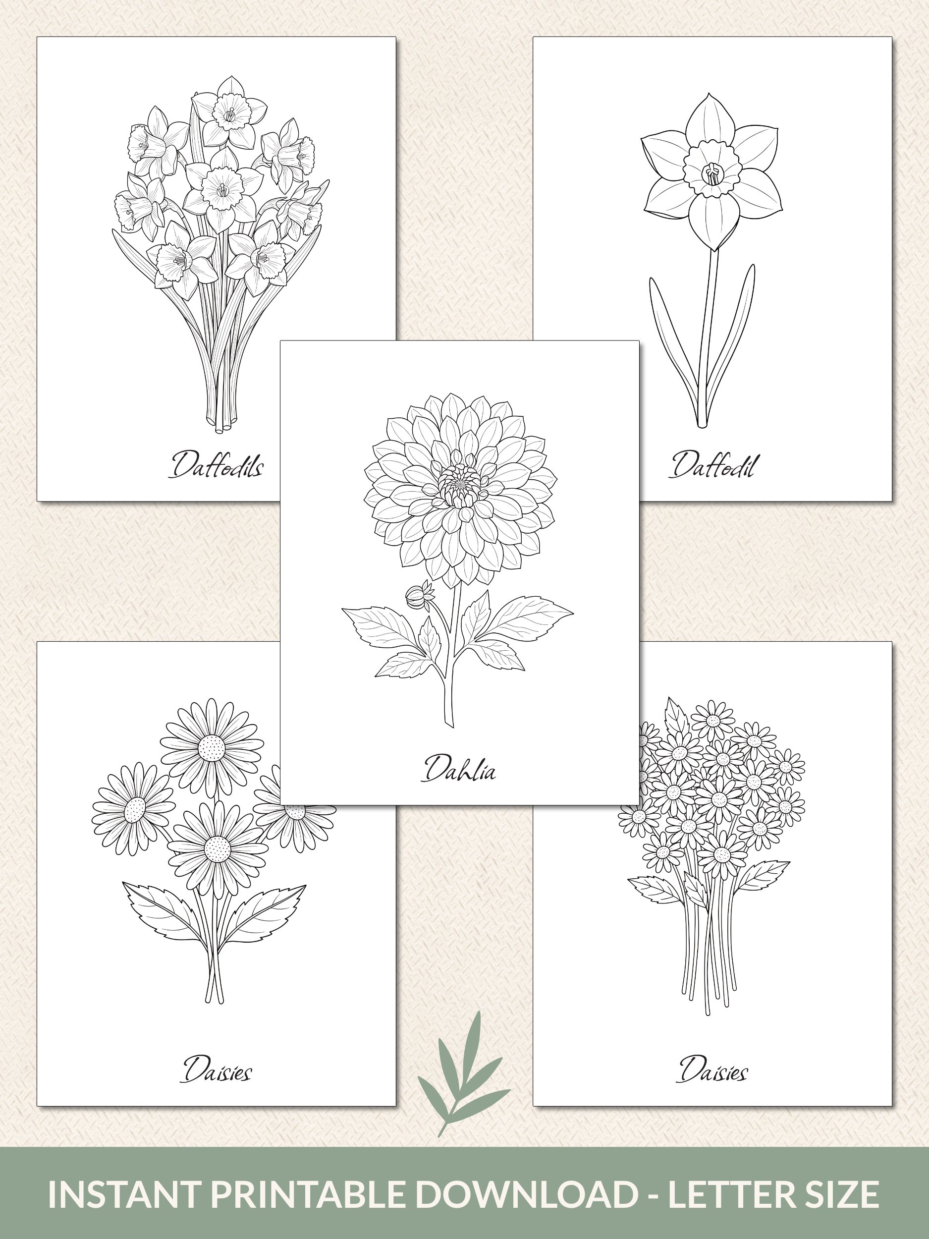 Flower Coloring Pages – Printable Set of 30 product image (3)