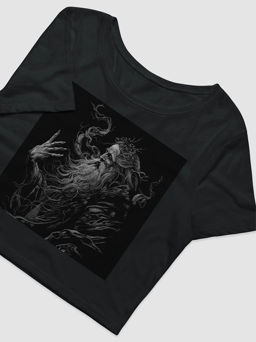 Forgotten Lore Crop Tee product image (3)