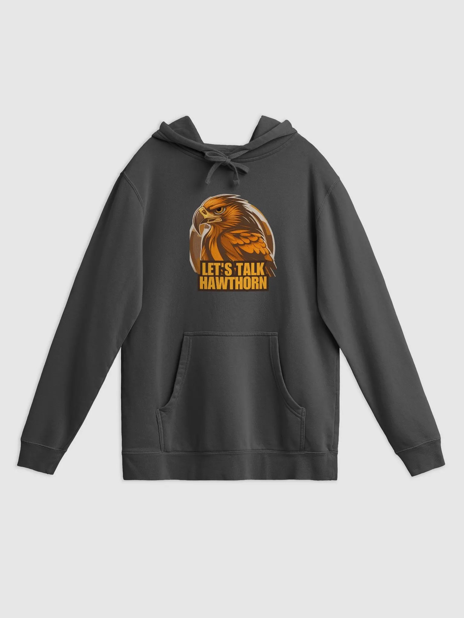 Let's Talk Hawthorn Hoodie product image (1)