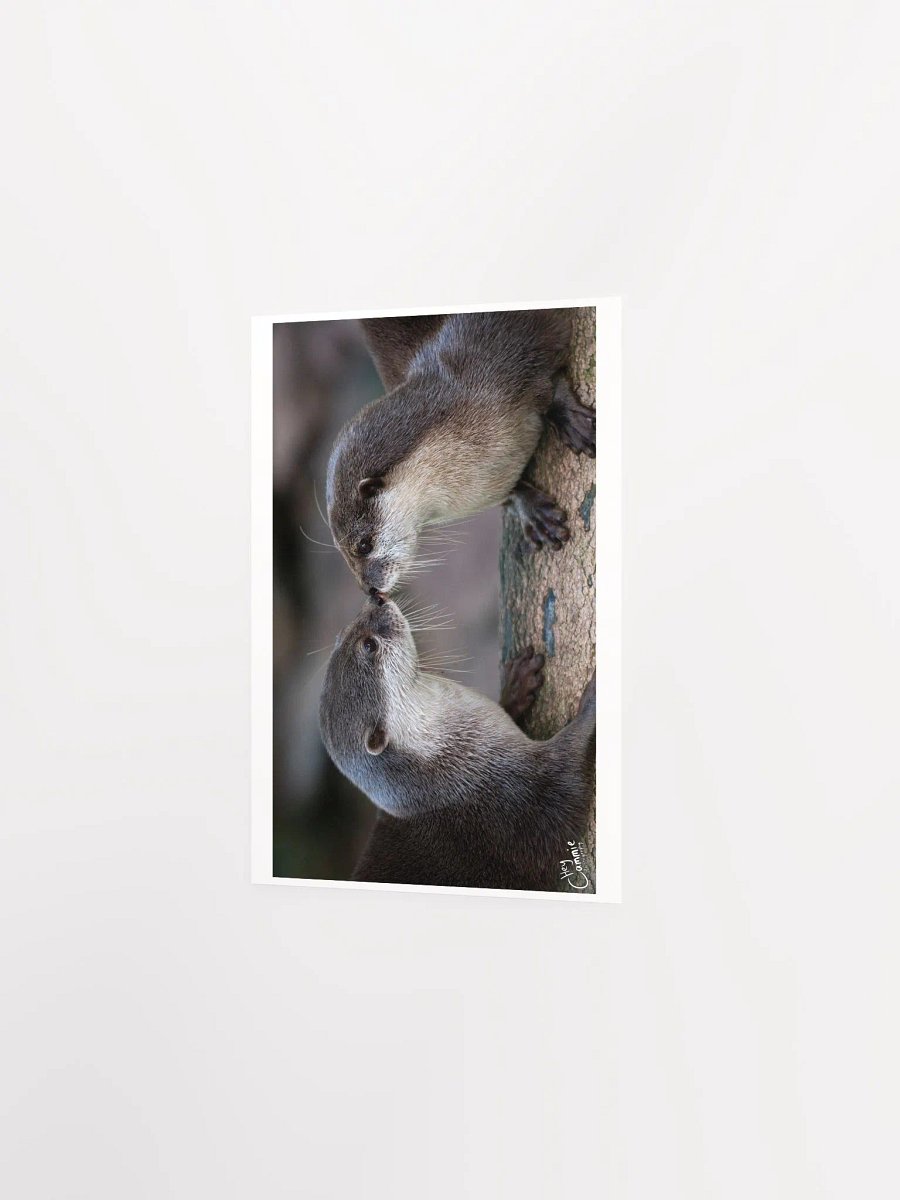 Otters Kiss - Print product image (2)