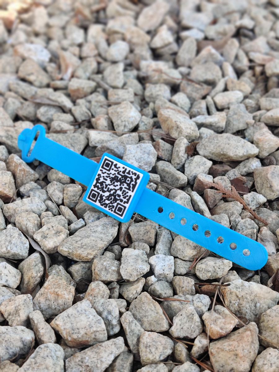 Dumb Watch product image (1)