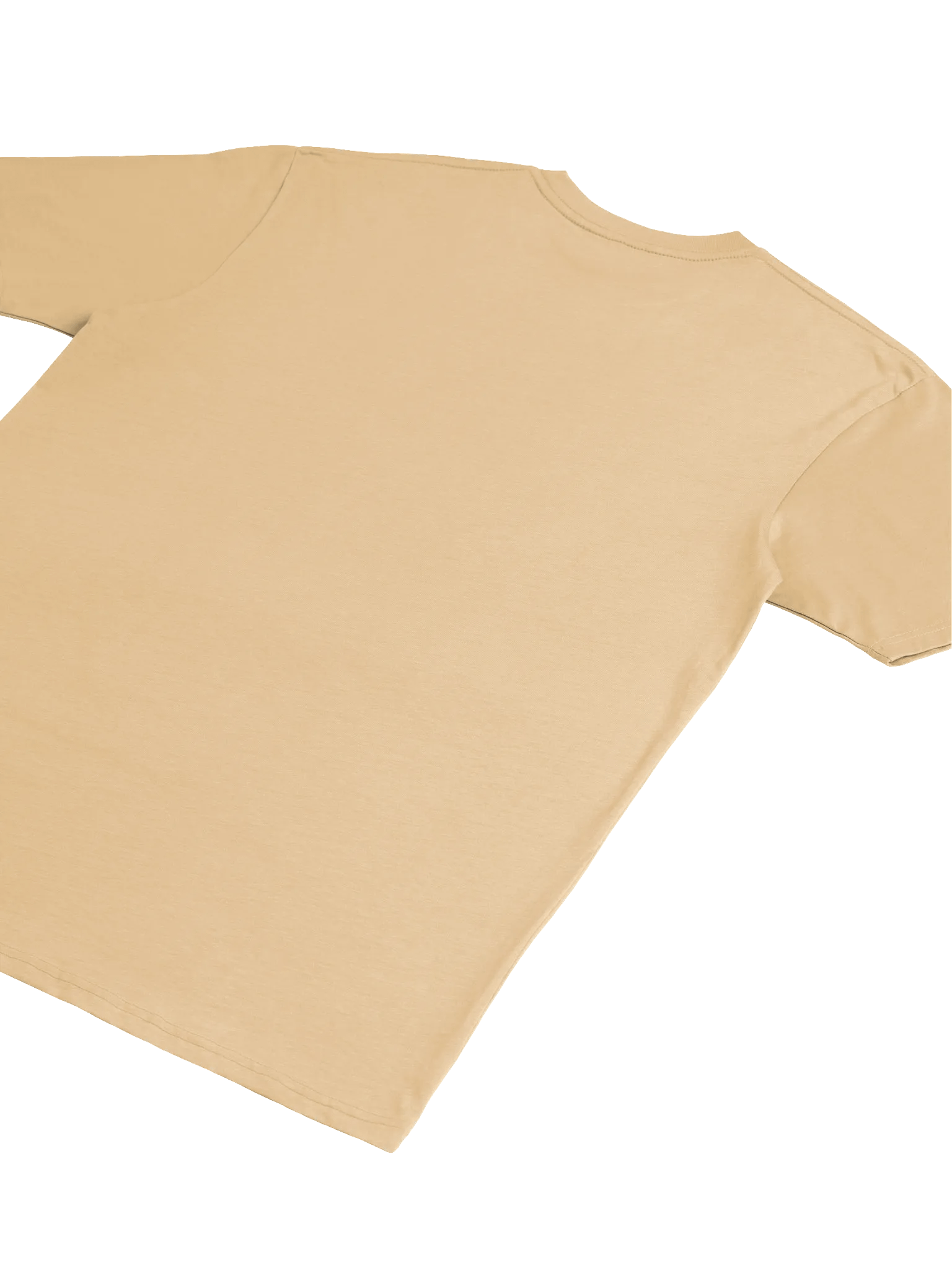 “It’s What It Is” Tee – Premium Heavyweight Fit product image (4)