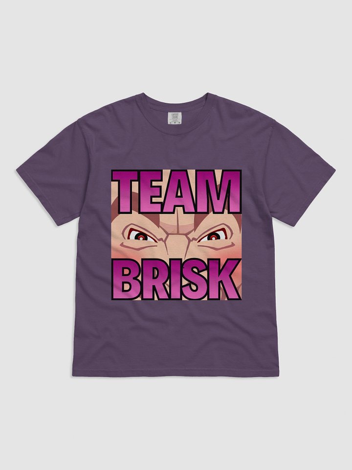 Team Brisk Heavyweight Tee Pink Fade Logo product image (25)