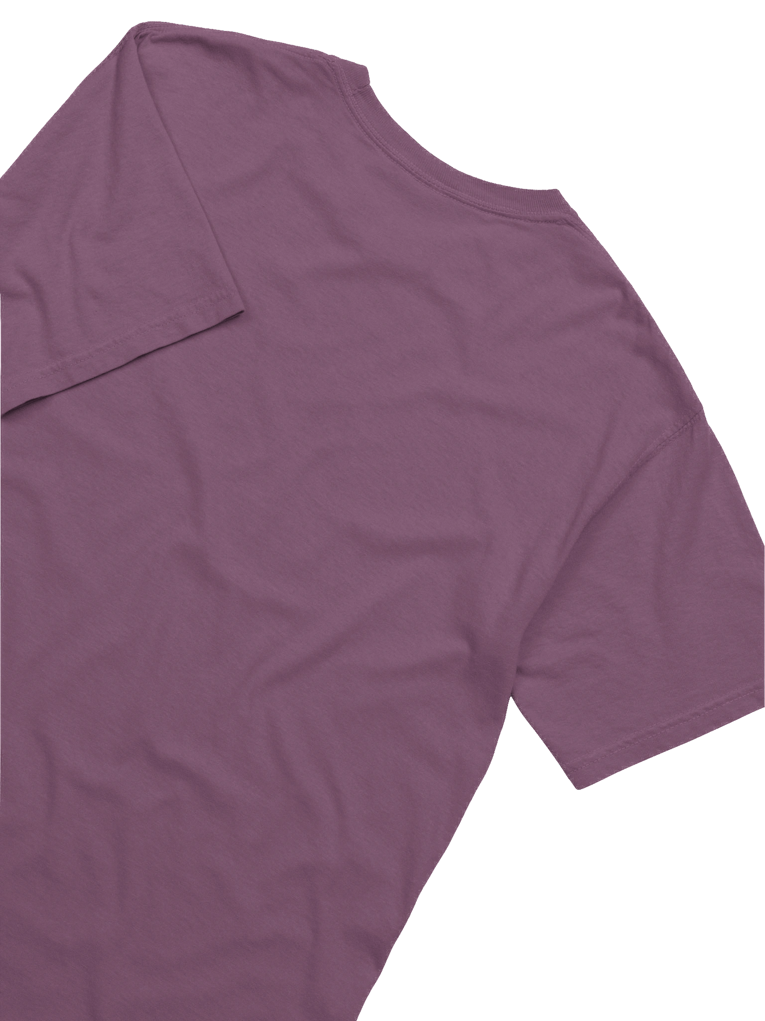 Embroidered Squashcat T-Shirt product image (2)